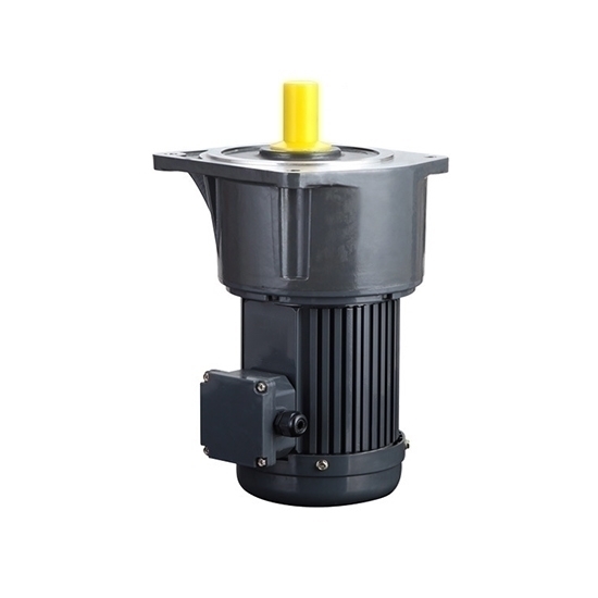 2 hp (1.5kW) 3-Phase AC Gear Motor, Vertical, Ratio 3~100