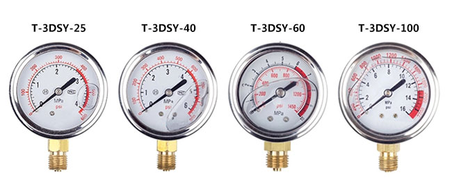 Electric pressure test pump pressure gauge diagram 1 hp