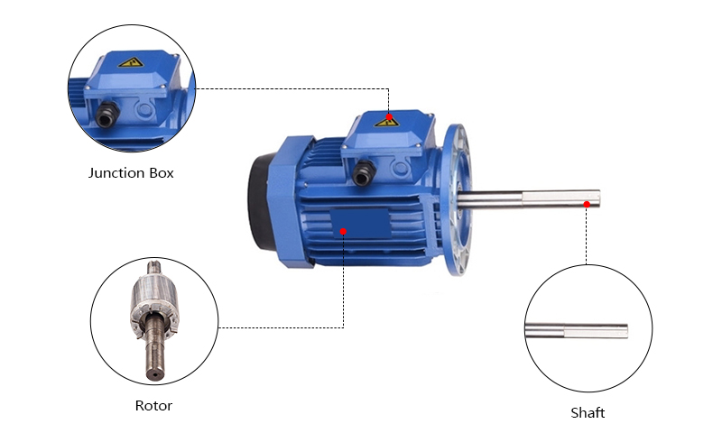 180mm Long Shaft Induction Motor Details