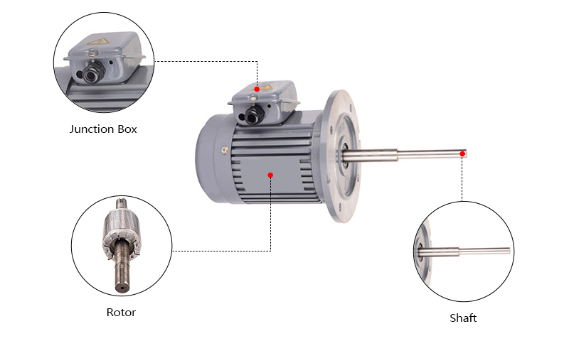 160mm Long Shaft Induction Motor Details