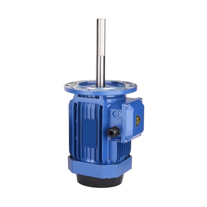 60/90/120W 140mm Long Shaft Induction Motor, 2700 rpm