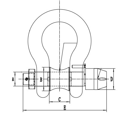 Shackle load cell size