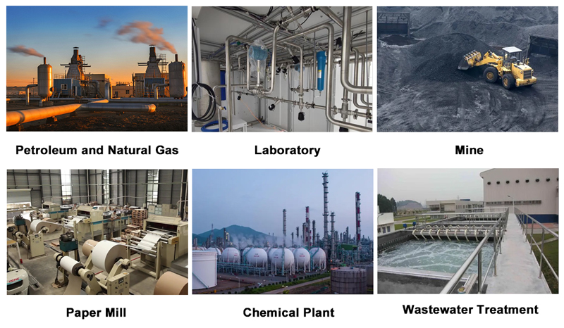 Hydrogen sulfide application