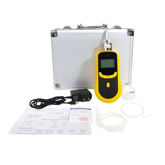 Portable Hydrogen (H2) Gas Detector, 0 to 500/1000/2000 ppm