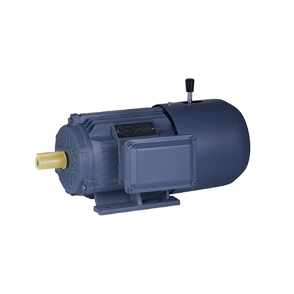 2 hp (1.5kW) Brake Motor, 3 Phase, 2/4 Pole