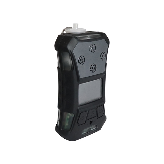 Portable  Explosion-Proof  Hydrogen Sulfide (H2S) Gas Detector