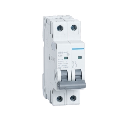 2 amp 2 pole Miniature Circuit Breaker