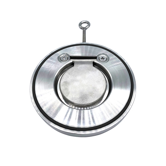 Single Plate Stainless Steel Wafer Check Valve, 2