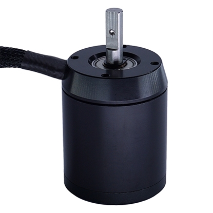 1800W 200KV 6-12S Outrunner Brushless Motor for Skateboard