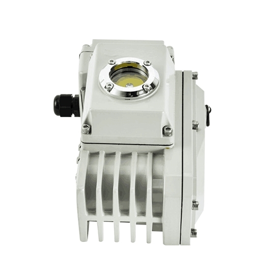 Electric Valve Actuator, On-Off, 600Nm, 24V/220V, Quarter Turn