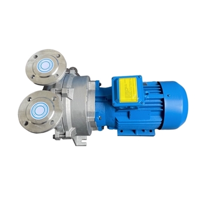5.5 HP (4 kW) Water Ring Vacuum Pump